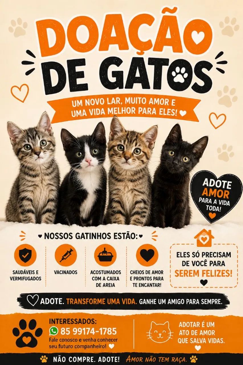 Doação de Gatos
