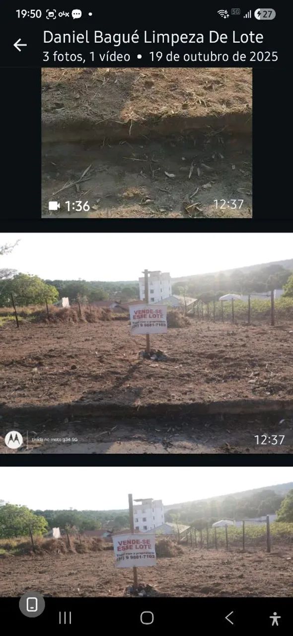 LOTE FFLORESTAL  - Foto 2