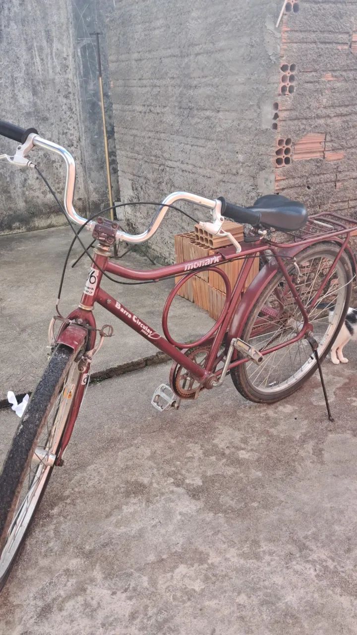 Bicicleta monarca 