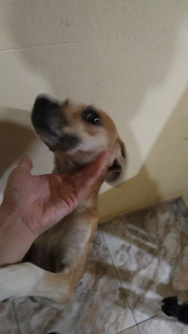 Doação 