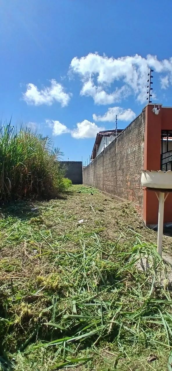 Trabalho com roçadeira em casa e lotes - Foto 5