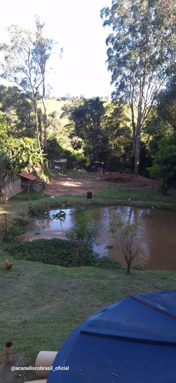 Chácara em Jacutinga MG rio no fundo