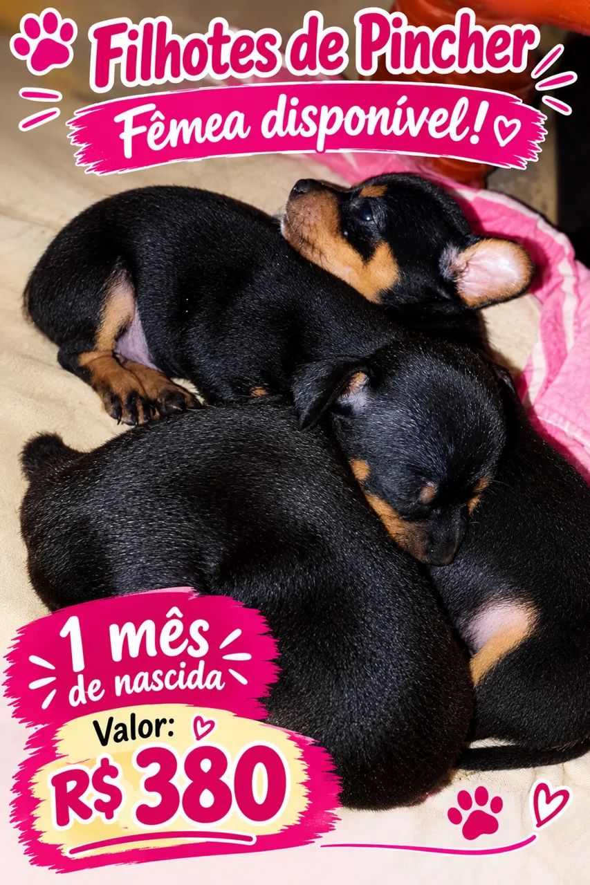 Cachorro 