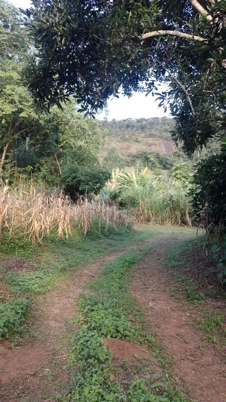 Chácara com 30.000 m em Pedralva MG - Foto 4