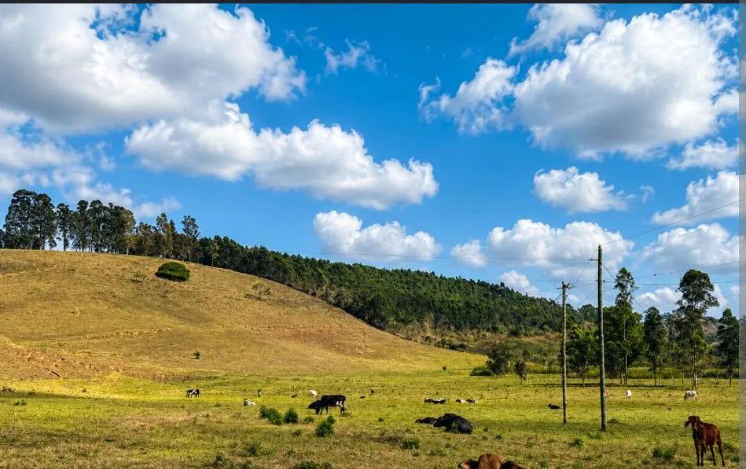 Terrenos para investimento  - Foto 2