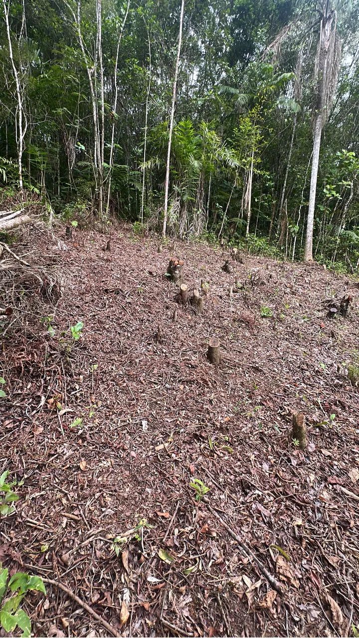 Terreno em área rural oportunidade única - Foto 2