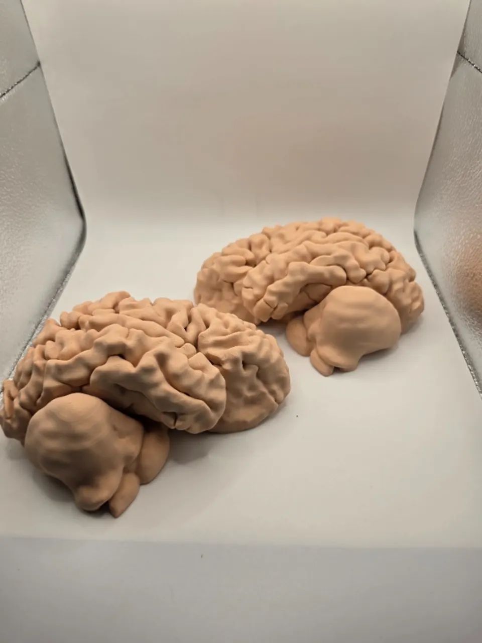 Cérebro Anatômico Humano Em Escala Real Peça De Estudo e Decoração - Foto 2