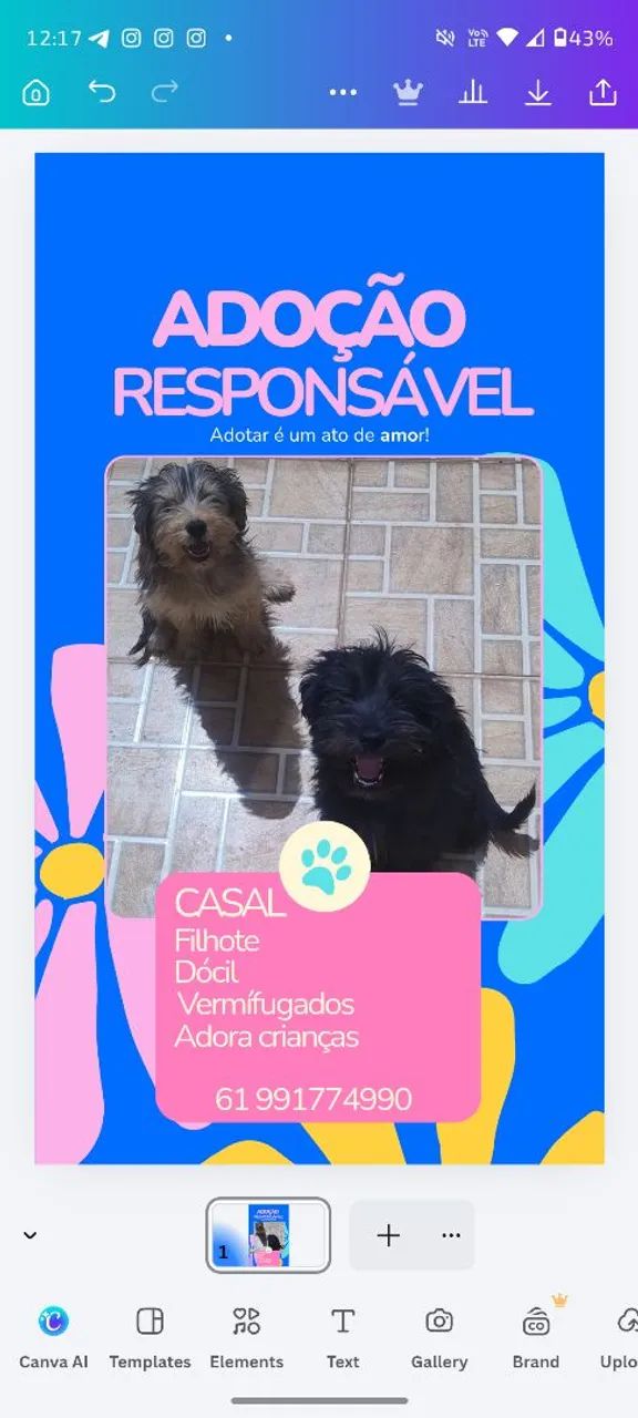 Doação 