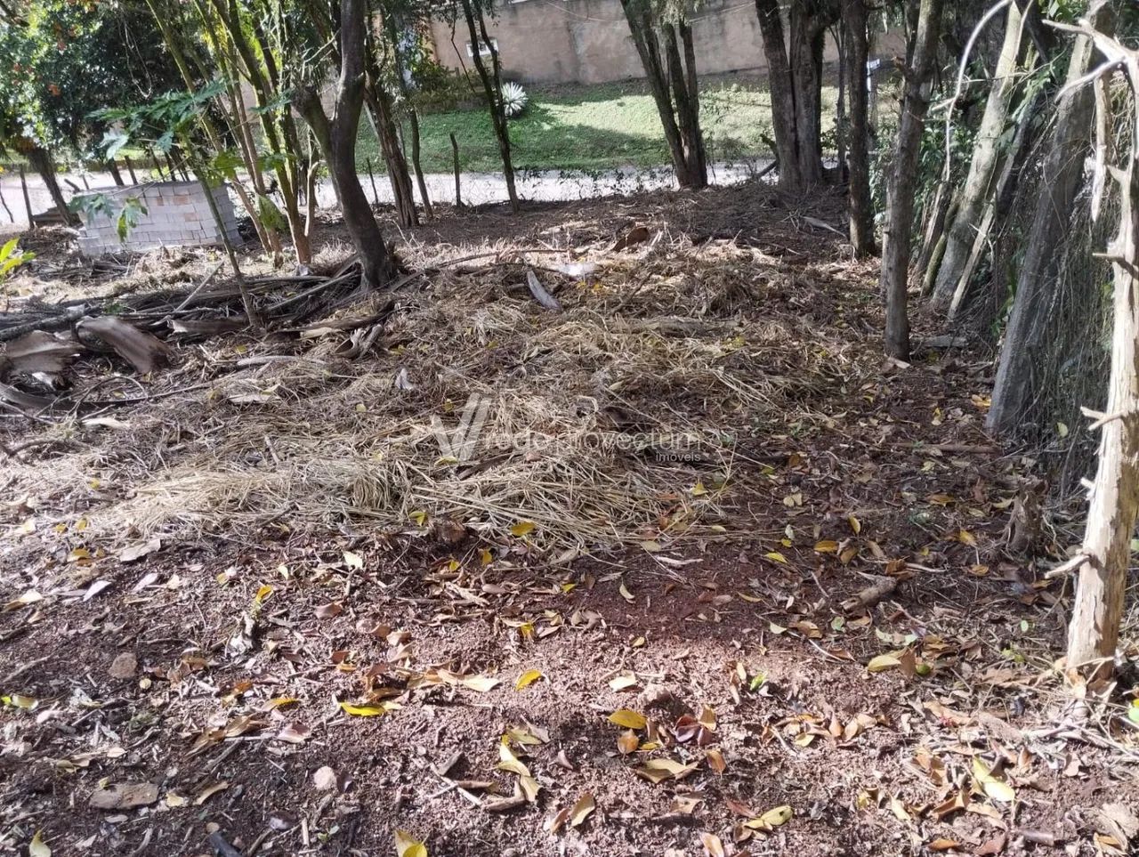terreno - Parque dos Pomares - Campinas - Foto 2