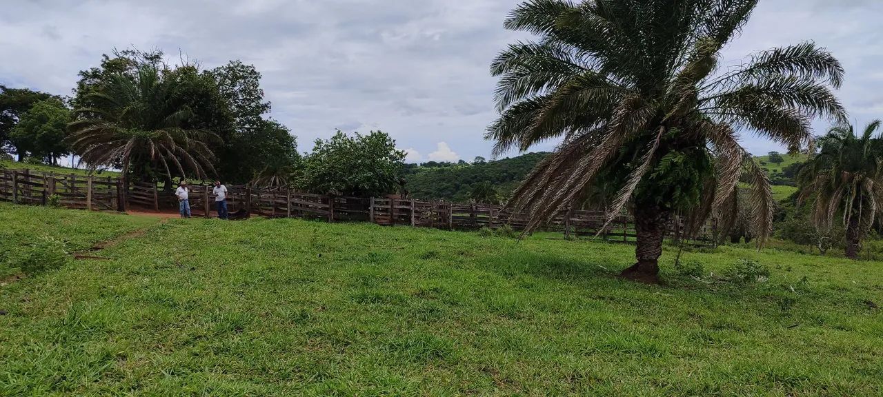 Fazenda em caldazinha  - Foto 3