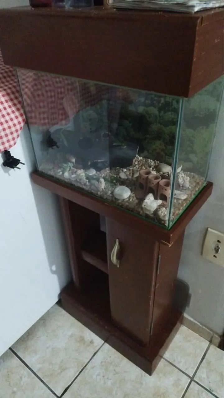 Aquário 20L Completo + Móvel planejado