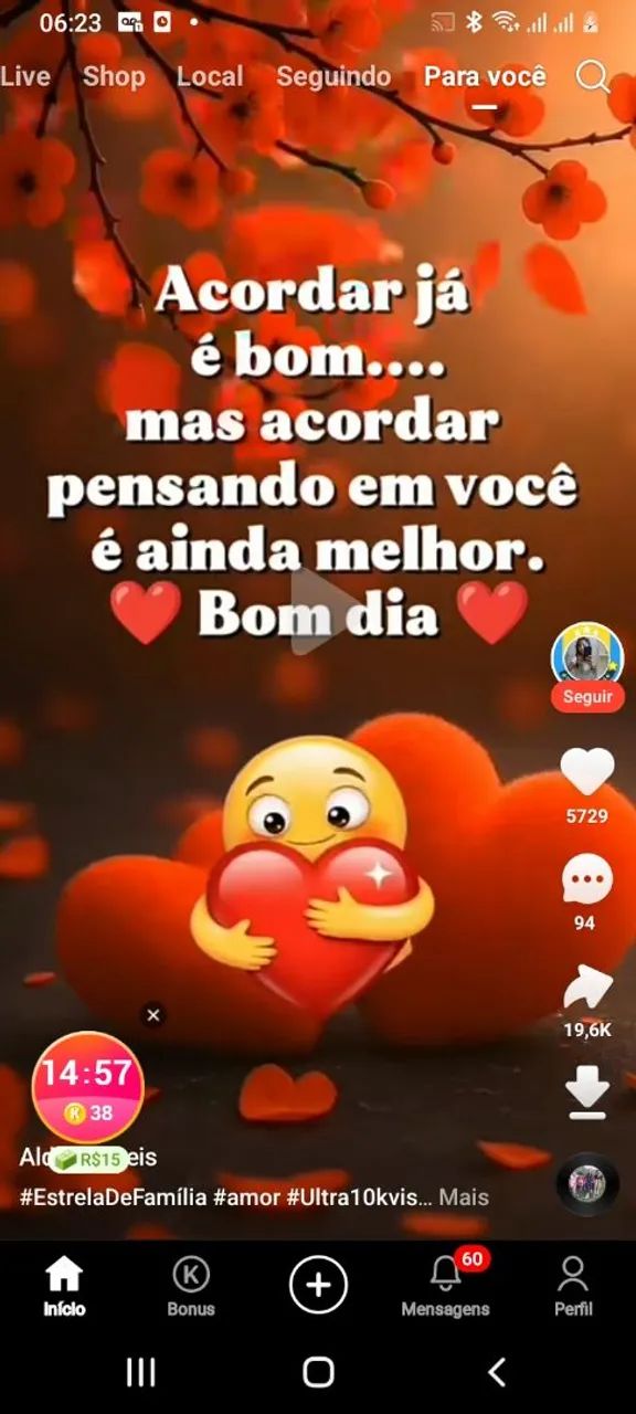 Babá doméstica 