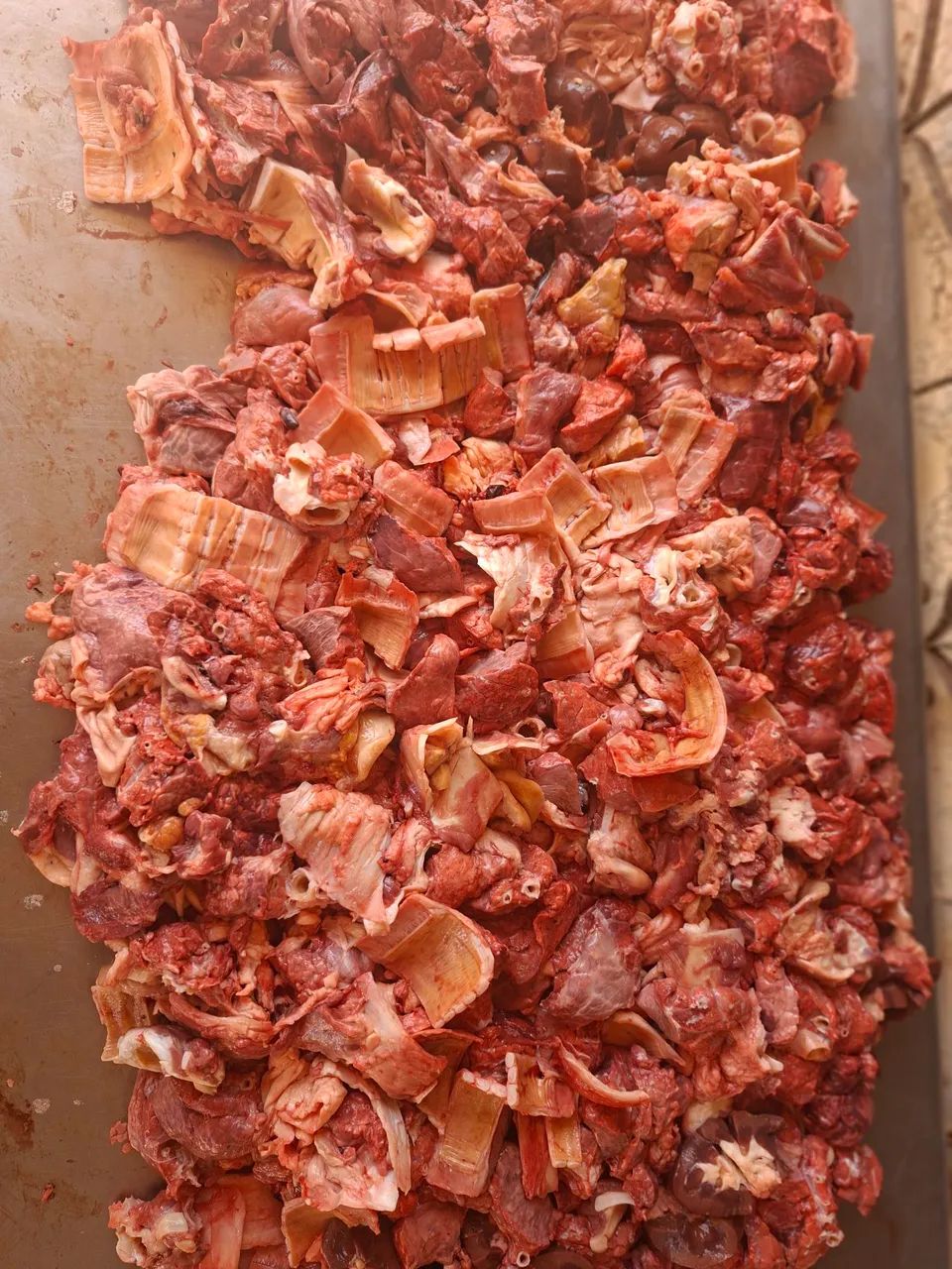 Alimentos ? - Foto 6