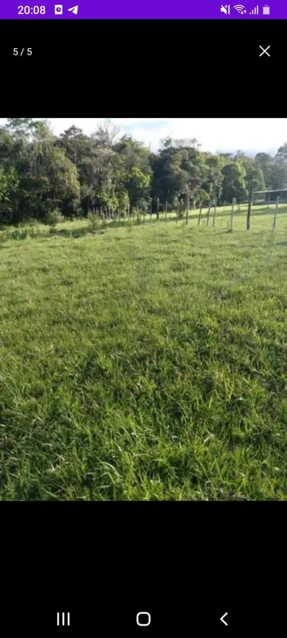 Terreno 3600 m2 - Foto 2