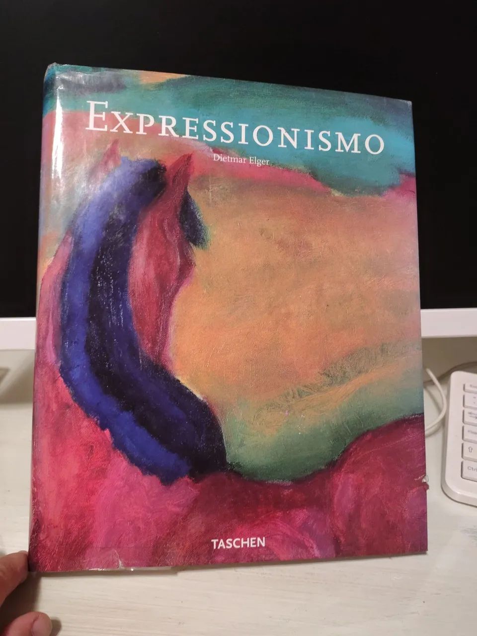 Livro Expressionismo 
