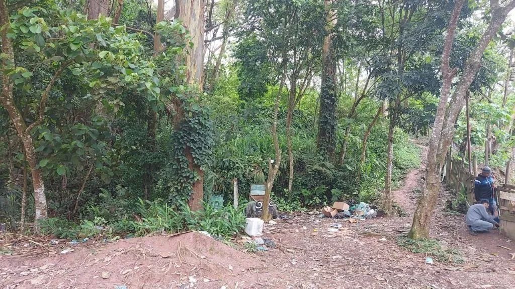 Foto - São Bernardo do Campo - Alvarenga