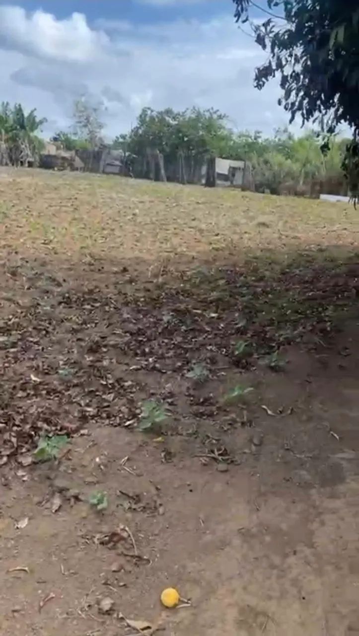 OPORTUNIDADE EXCLUSIVA - ÁREA À VENDA ?