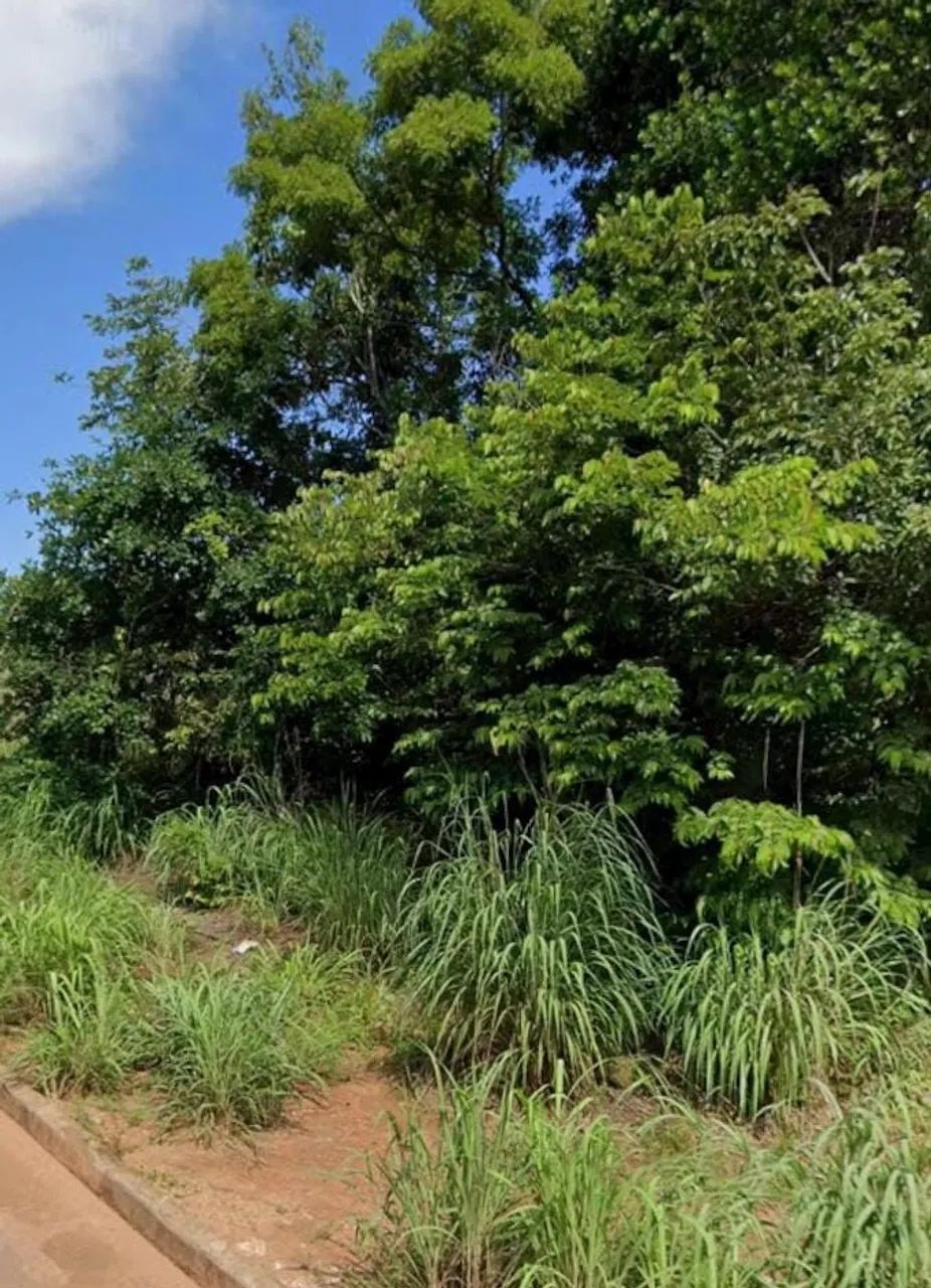 Terreno no João de barro. Bem na entrada do bairro. - Foto 2
