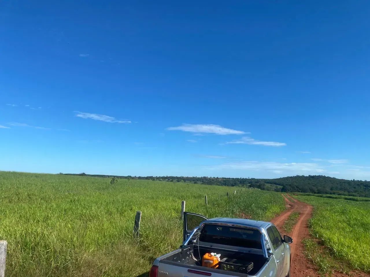 FAZENDA À VENDA  APTIDÃO CANA, PECUÁRIA E EUCALIPTO - Foto 3