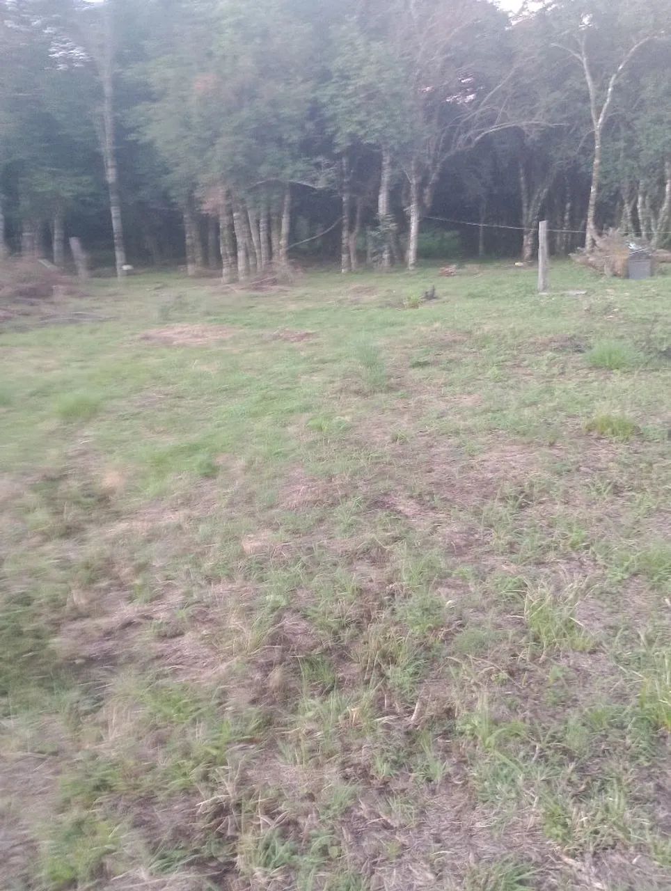 Foto - Santa Maria - São José