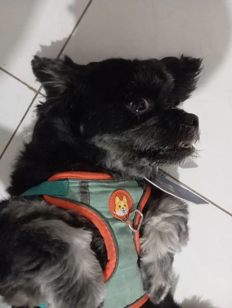 Doação responsável 