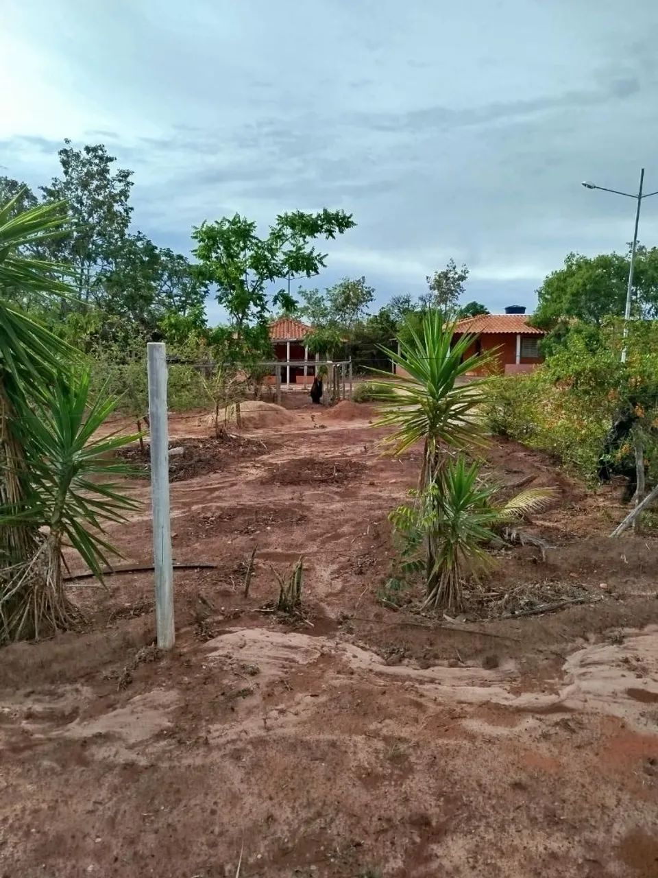 Chácara  - Foto 5