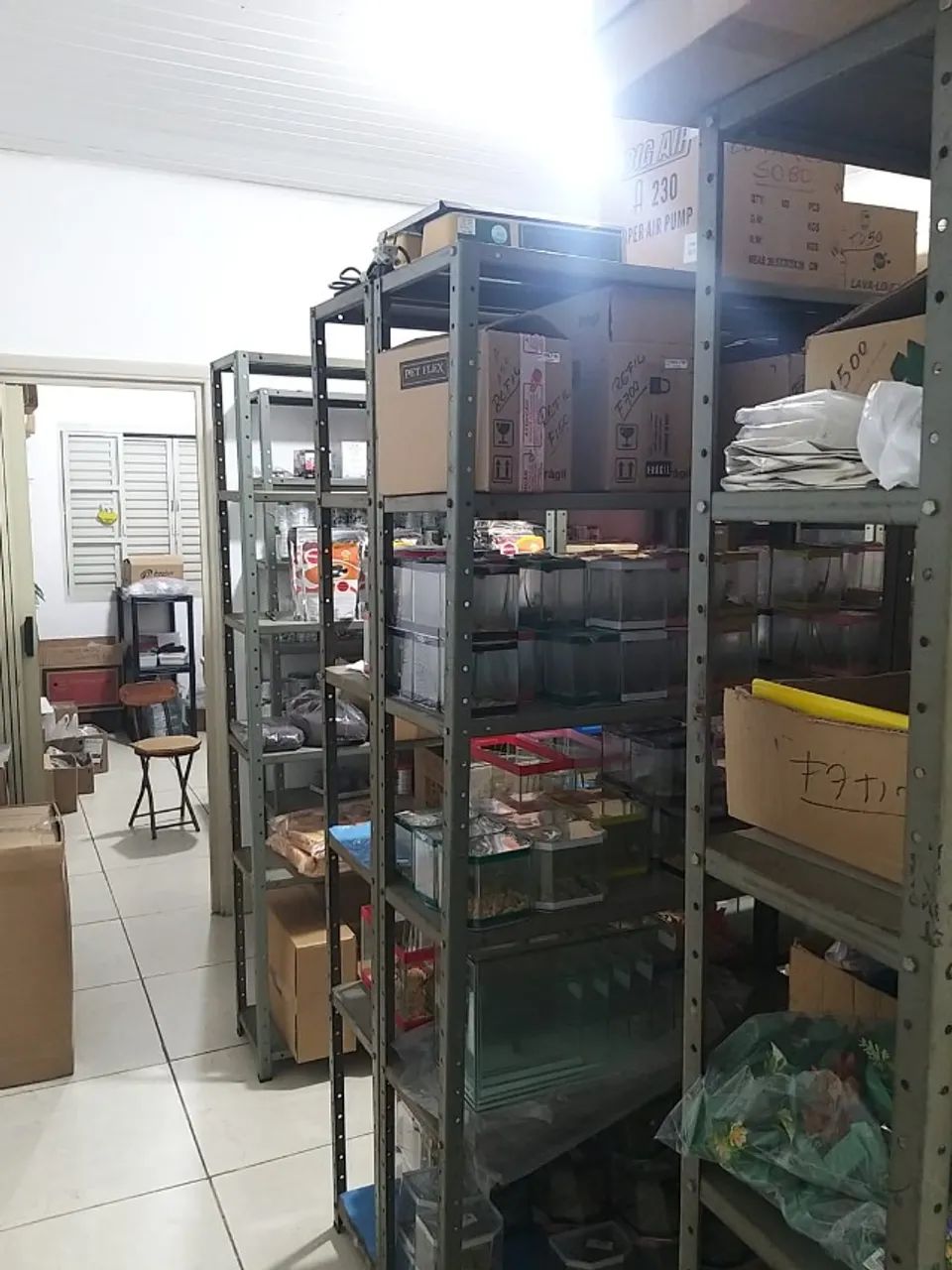 Distribuidora de Acessorios e Peixes Ornamentais, Nacionais e Importados - Foto 3