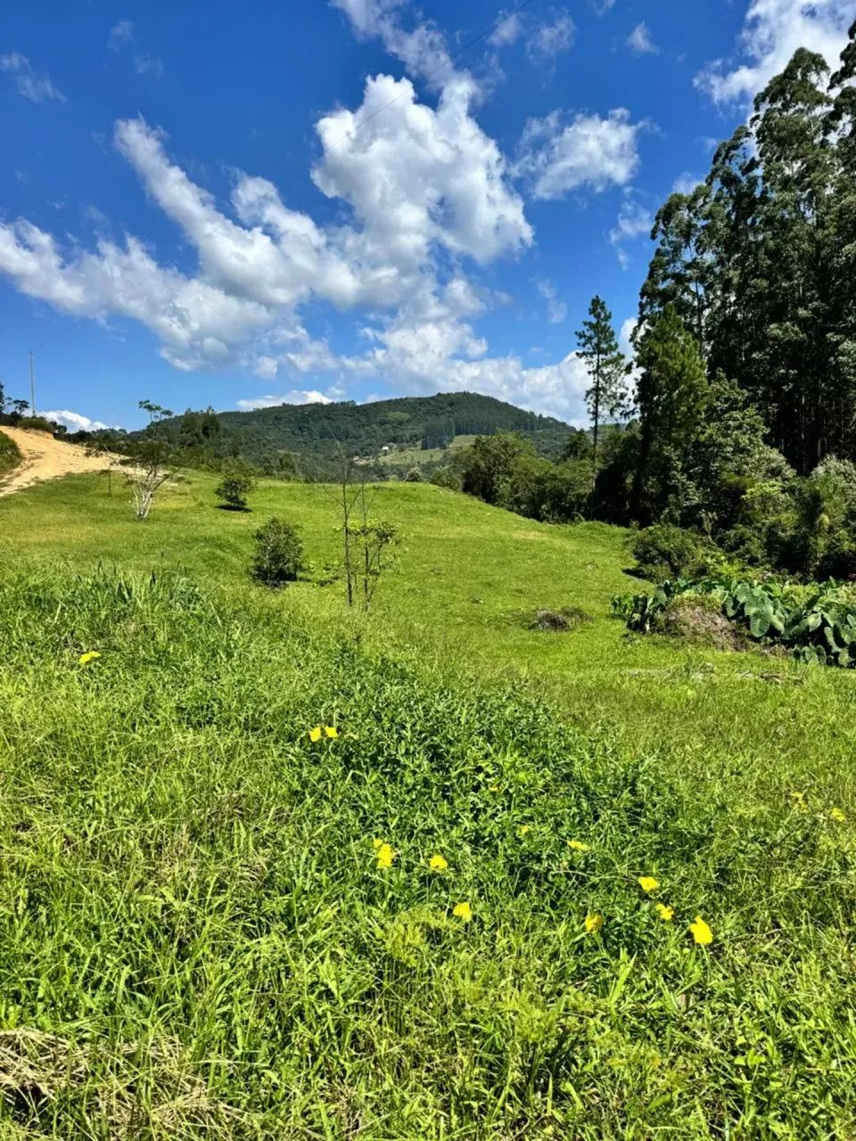 Sitio com escritura em Anitápolis - SC - Foto 3