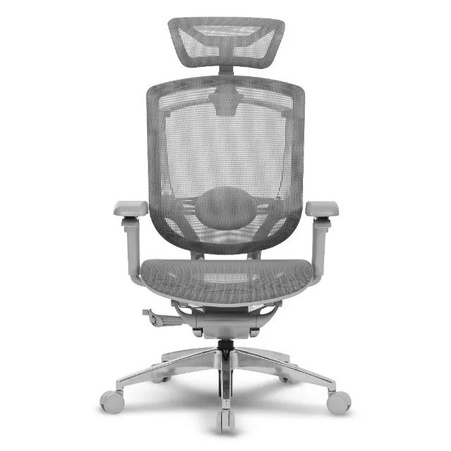 Cadeira DT3 Iryna Grey Frame
