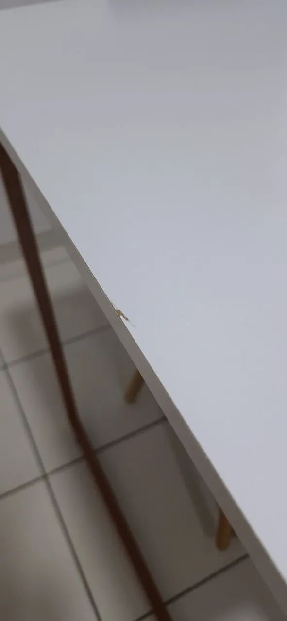 Mesa e cadeiras  - Foto 4