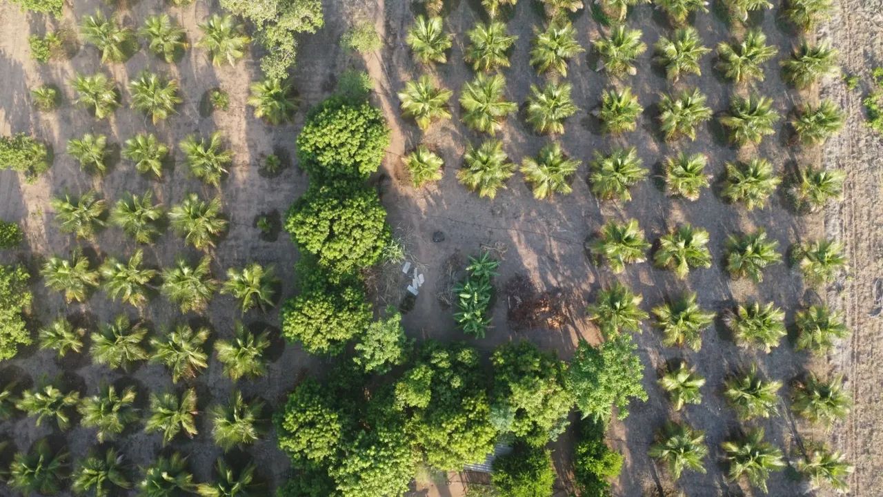 Chácara 7.7423hectare - Com 367 coqueiros - Placas solar  - Foto 5