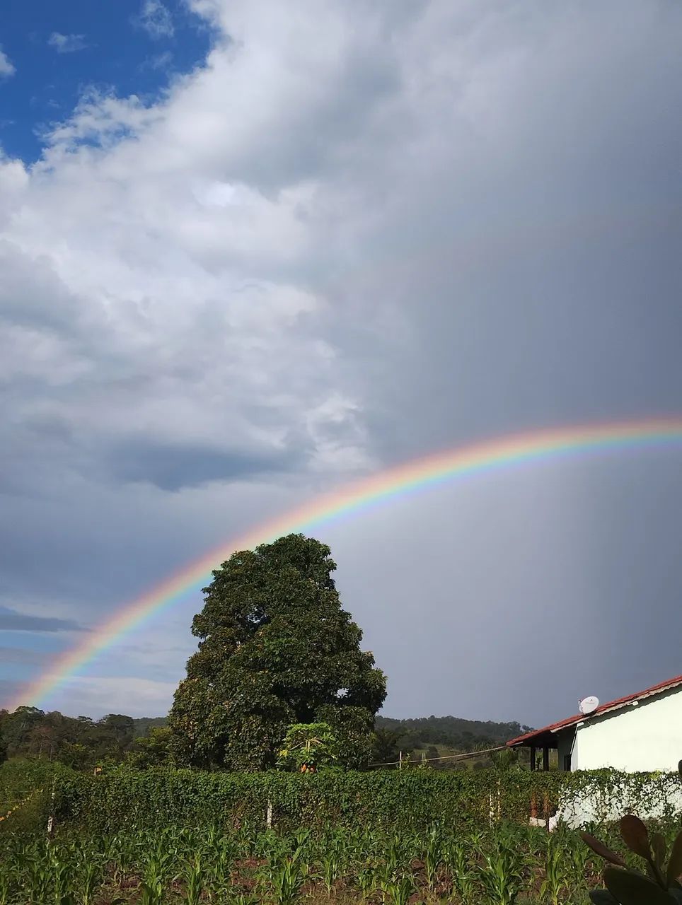 Linda chácara em taquaral de Goiás  - Foto 5