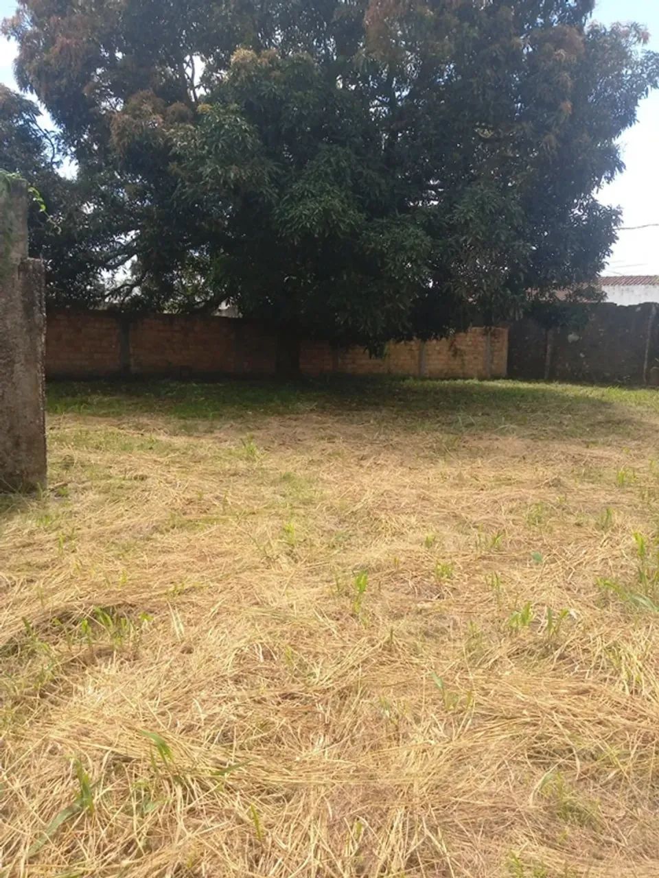 Terreno com Edificação na Rod. do Tapanã, próx. ao Sup. Baratão c/ 1.850 m2. - Foto 4