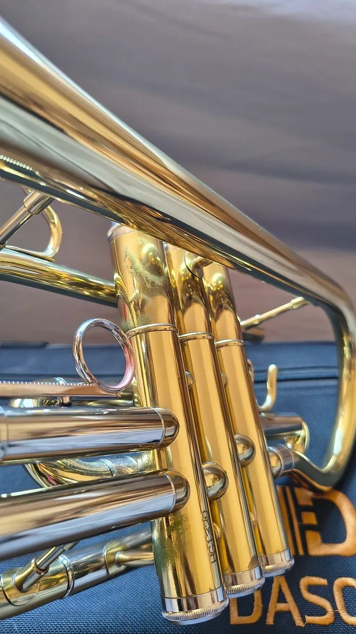 Cornet Dasons  - Foto 4