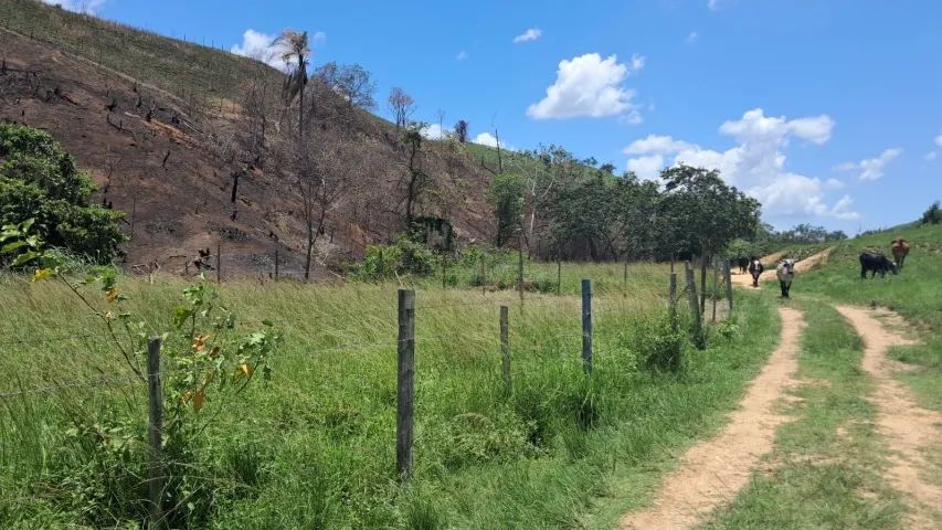 Vendo terreno em Três Rios  - Foto 2