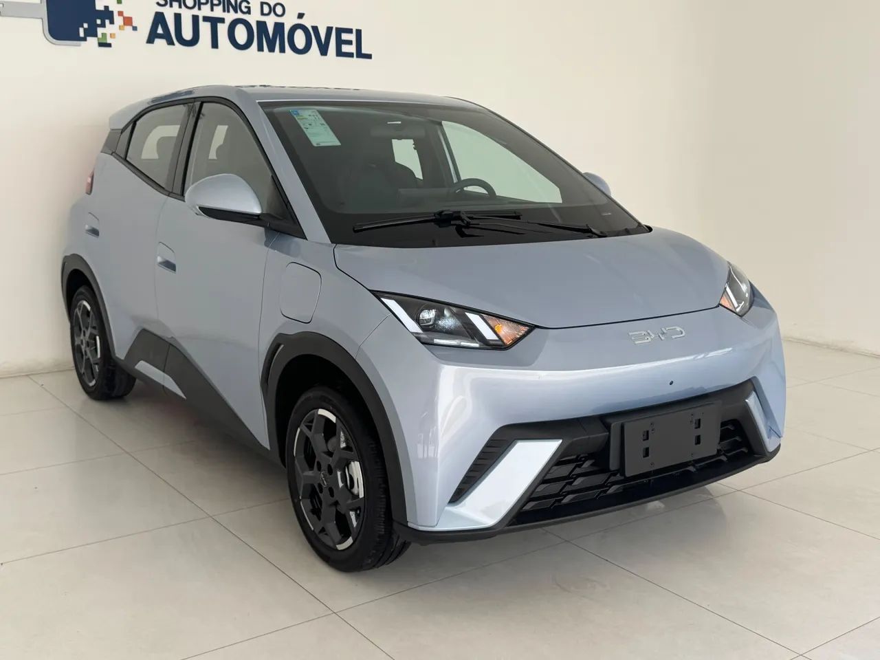 BYD Dolphin Mini (Elétrico) 2027