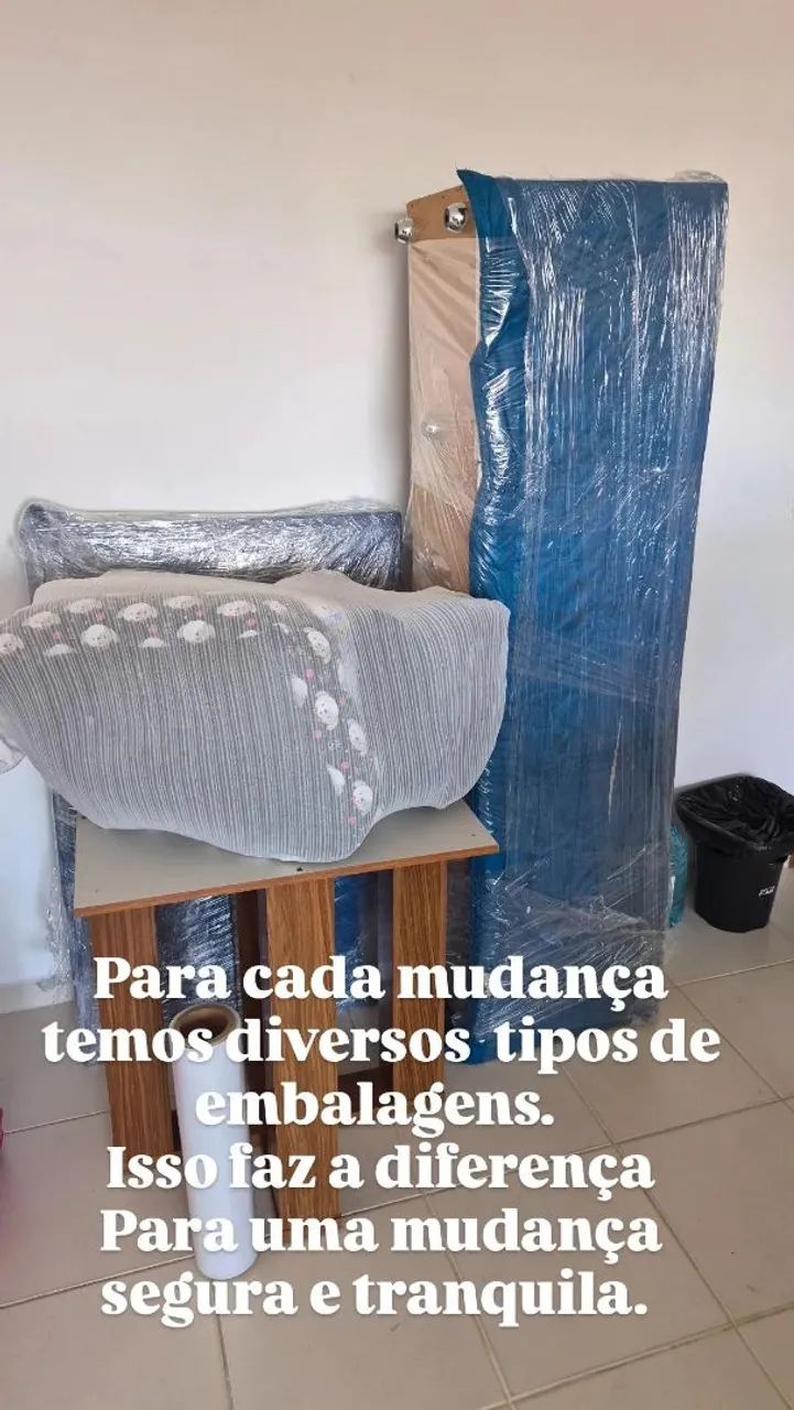 Ale Transportes mudanças  - Foto 2