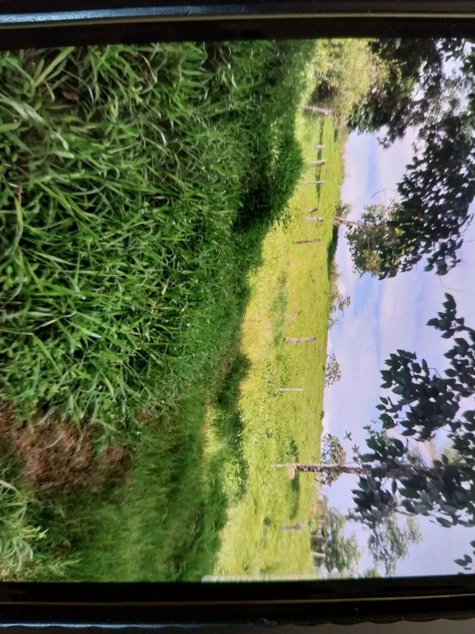 Fazenda com 20 alqueires - Foto 5