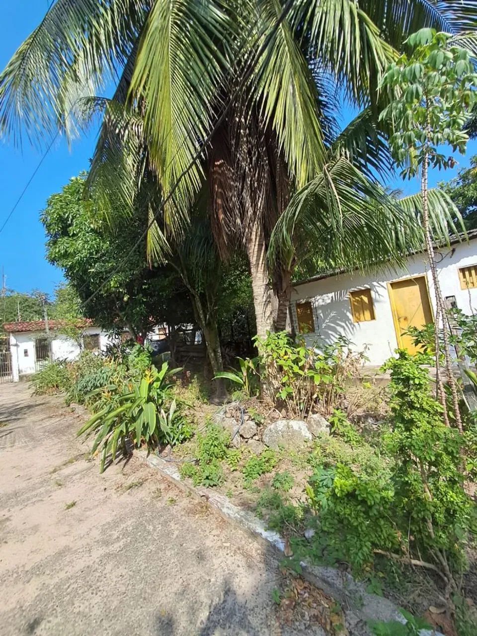 SÍTIO À VENDA EM SÃO LUÍS - 1.925 M² - Foto 5