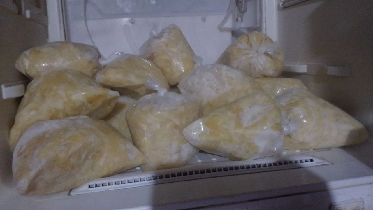 Polpas de cupuaçu 10 reais o kl  - Foto 2