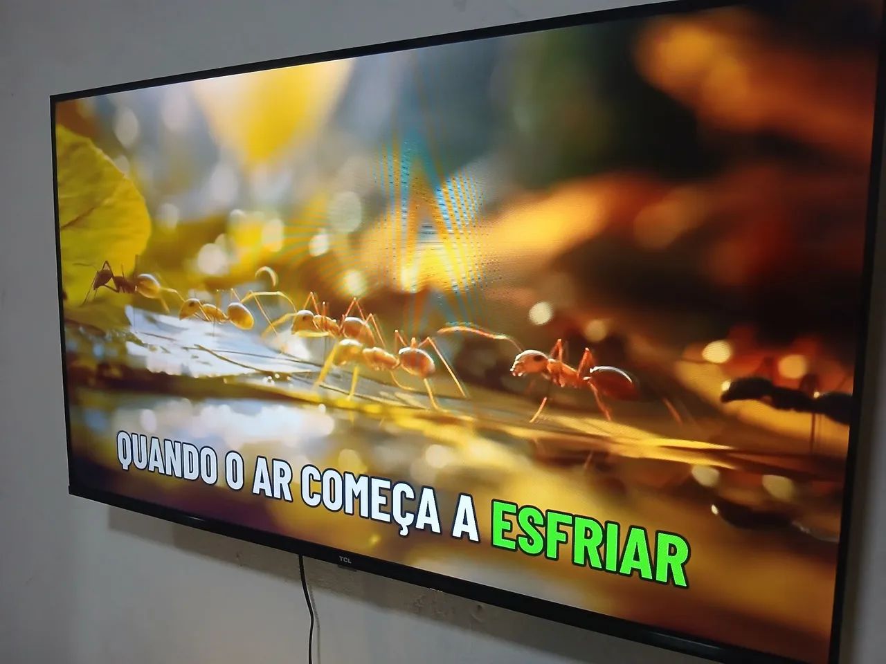Tv tcl 43  - Foto 3