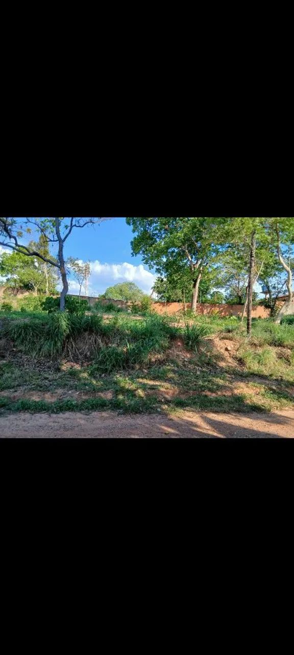 Terreno prox da Avenida Antártica  - Foto 4