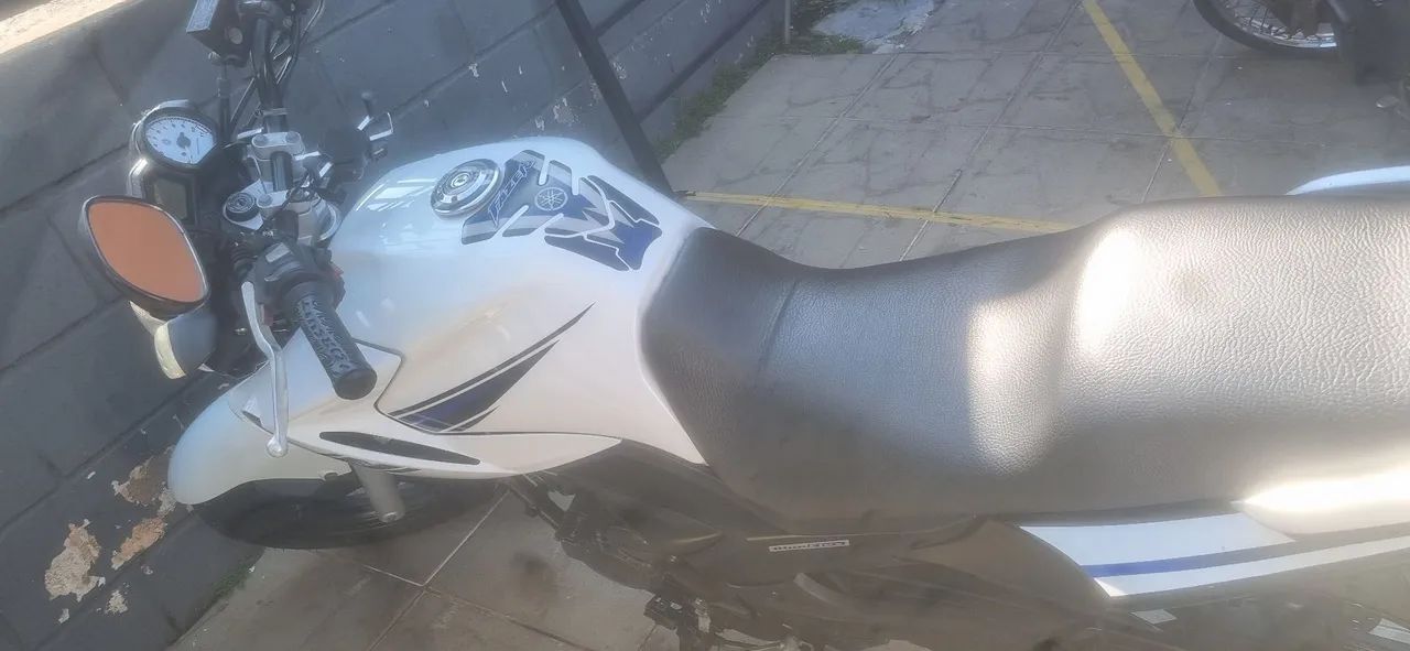 Fz250 Blueflex 2014 - Foto 4
