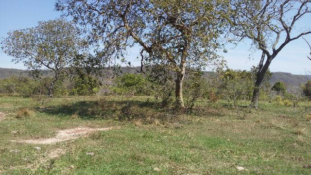 Fazenda 2.125 hectares - Munic. Aquidauana MS - Foto 10