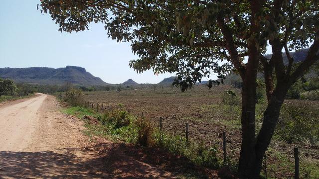 Fazenda 2.125 hectares - Munic. Aquidauana MS - Foto 3