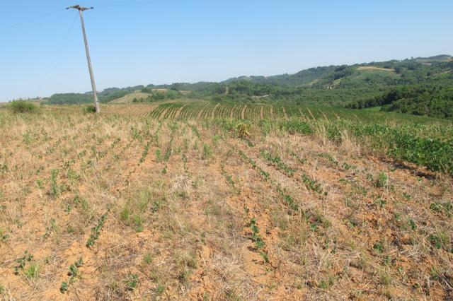 Área imperdível R$100.000,00 o alq. de planta/R$50.000,00 bosque e rio - Foto 9