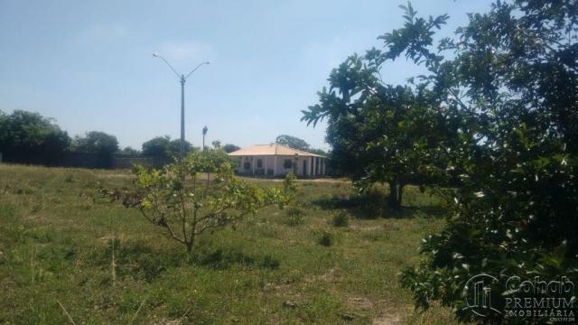 Sitio no povoado são jose - Foto 8