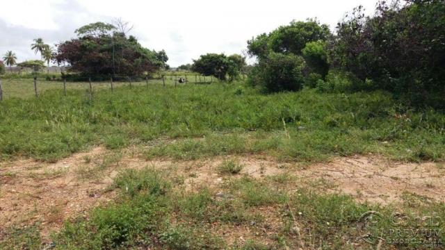 Lote no pov. matapuã. bairro mosqueiro - Foto 4