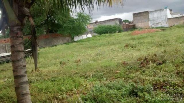 Terreno no Bairro Ponto Novo - Foto 3