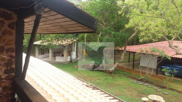 Chácara com 3 dormitórios à venda, 20000 m² por r$ 1.350.000,00 - centro - chapada dos gui - Foto 3
